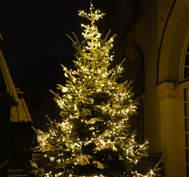 Weihnachtsbaum Schloss Nymphenburg (2017)
